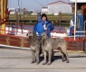 Cara und Colin P. an der Nordsee