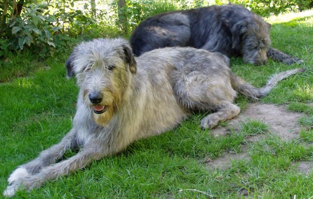 Unser Aydan