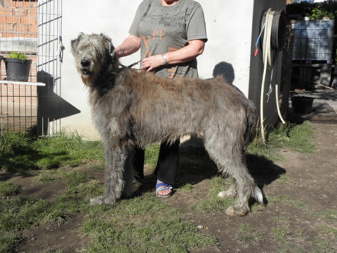 Collin P. 2011 7 Jahre