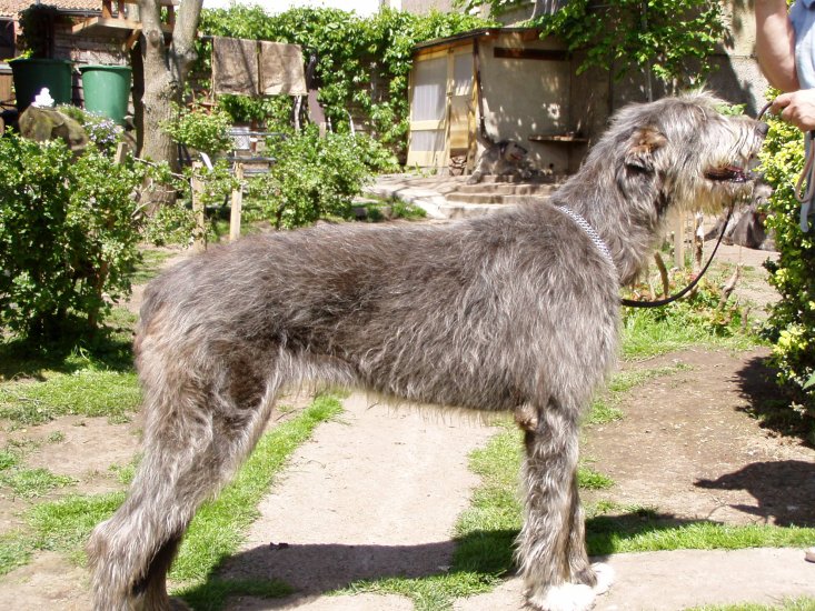 Fiona 2009