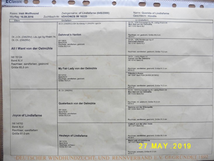 Ahnentafel Querioda of Lindisfarne